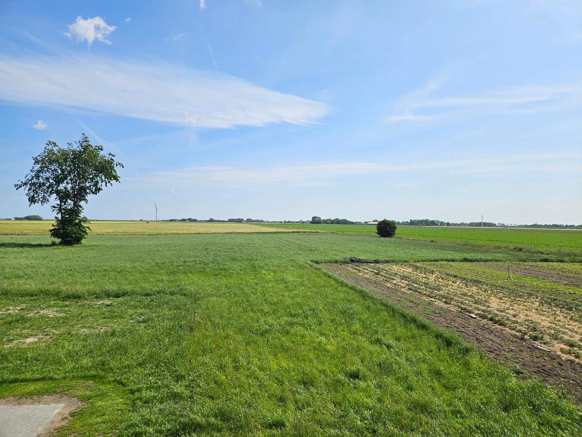 Pension Nele Hohaus Neuharlingersiel Rum bild